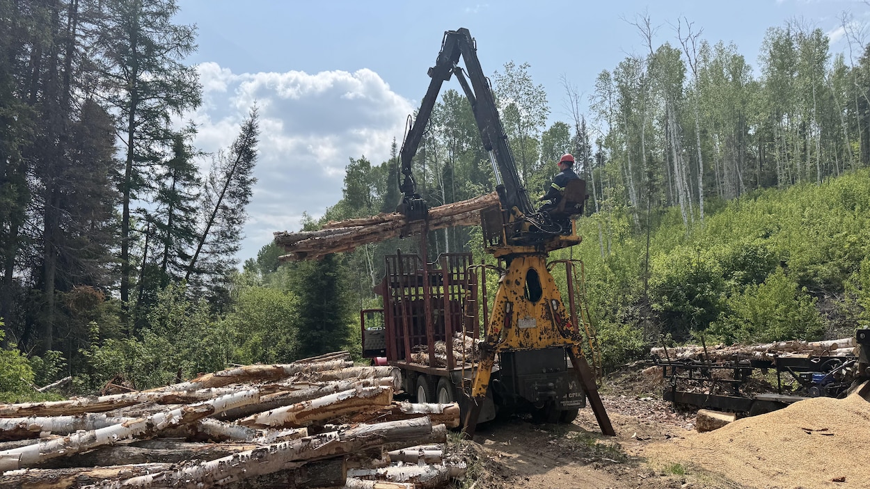 L’industrie et les syndicats inquiets du contexte forestier actuel