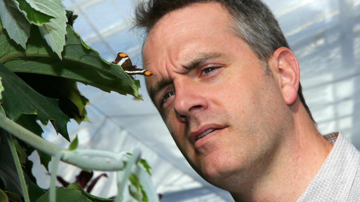 Maxim Larrivée observe un papillon dans la serre d'exposition du jardin botanique de Montréal.