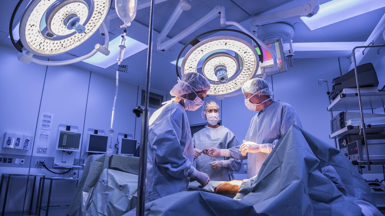 Des médecins Des médecins