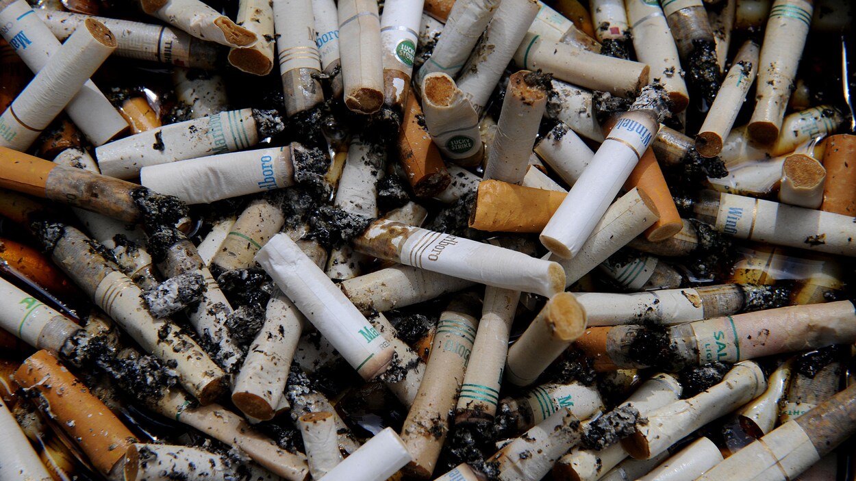 L'industrie du tabac a un impact « désastreux » sur l'environnement, selon  l'OMS
