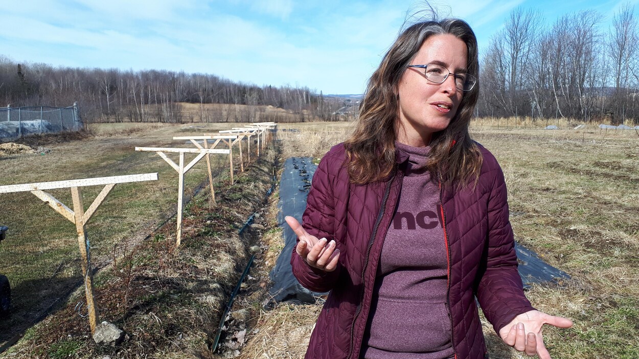La pandémie crée un engouement pour l’autosuffisance Coronavirus