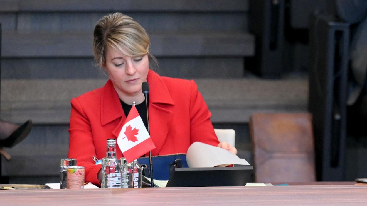 L’Europe et le Canada annoncent une augmentation de leurs dépenses de défense