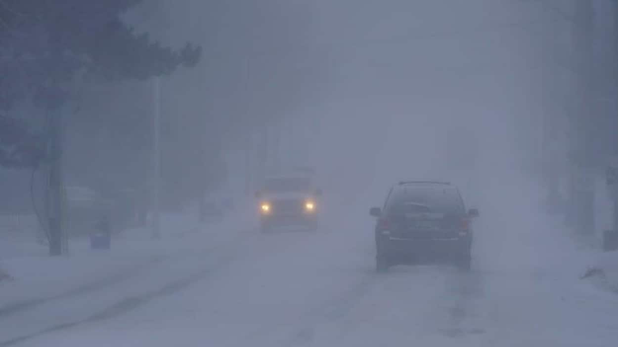 Alerte de blizzard dans certaines régions du Sud-Ouest ontarien