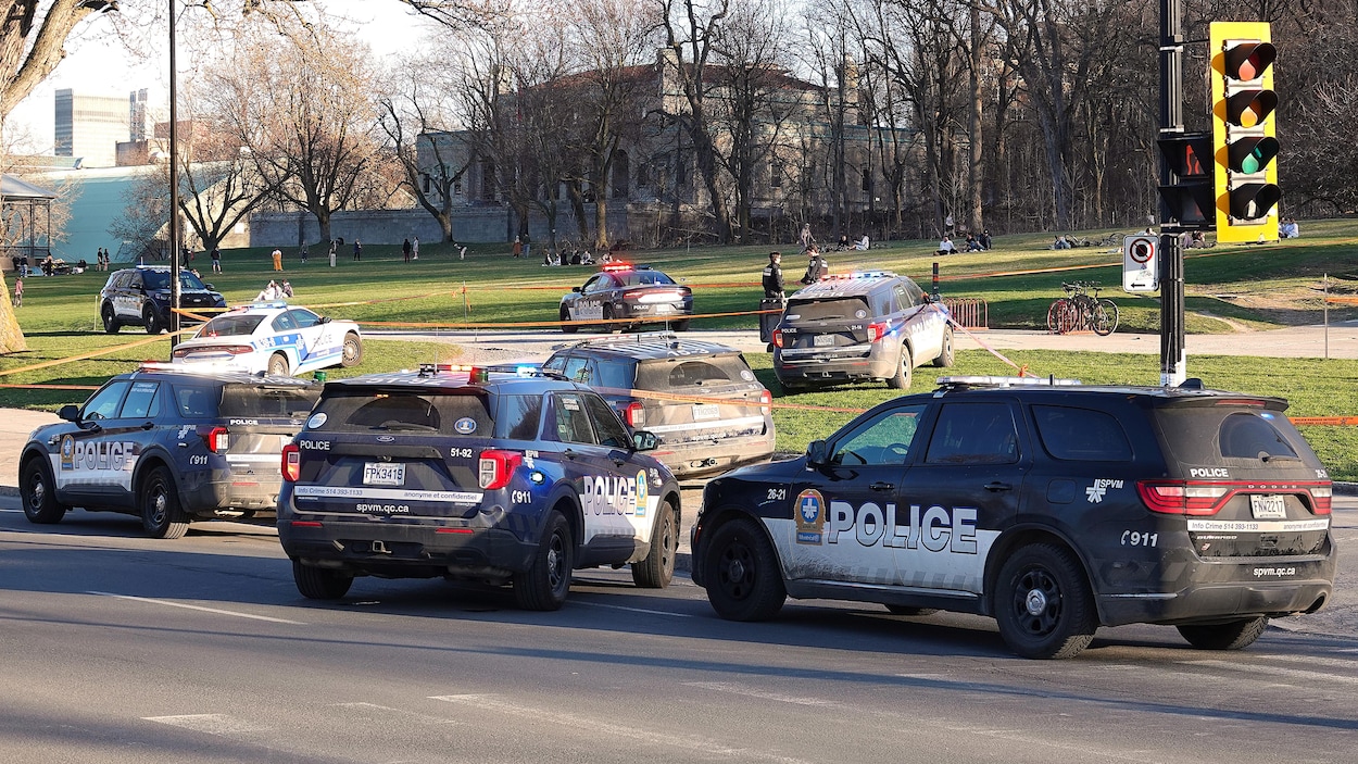 Agression au couteau au mont Royal : un homme accusé de meurtre au deuxième degré