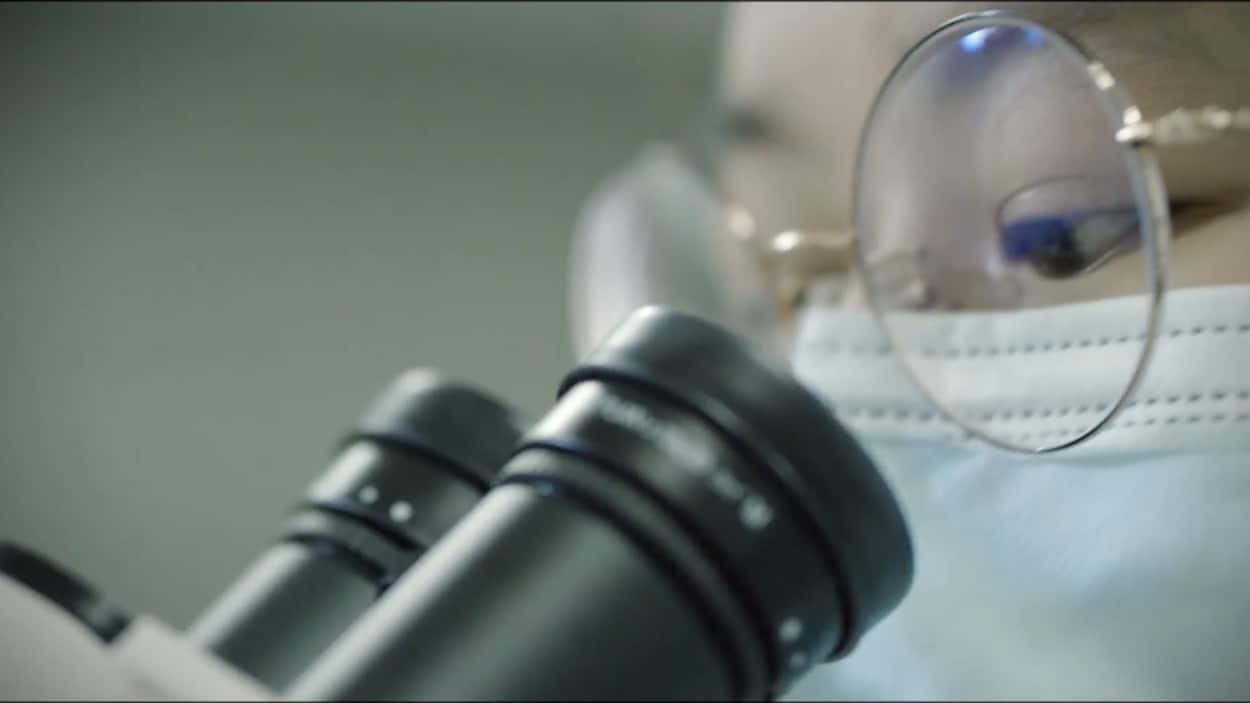 Bientôt un médicament créé par l’IA