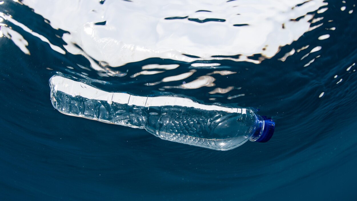 Une bouteille d'eau flottant sur l'eau.