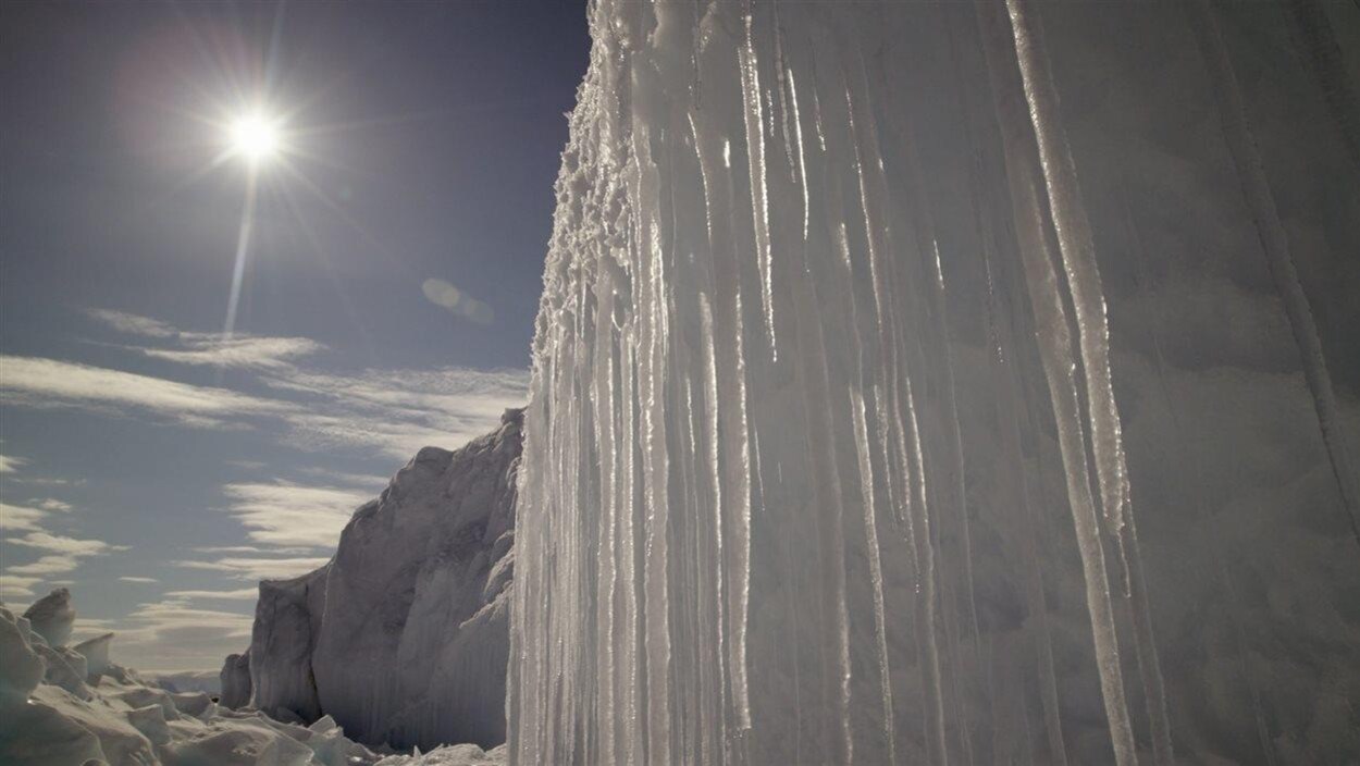 L'Arctique.