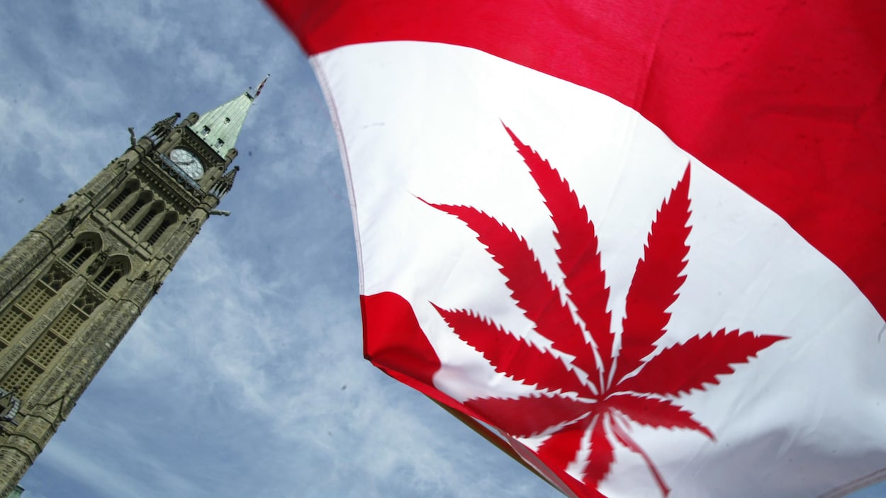 La feuille d'érable du drapeau canadien est remplacée par un plant de cannabis, avec en arrière-plan, l'édifice principal du gouvernement fédéral.