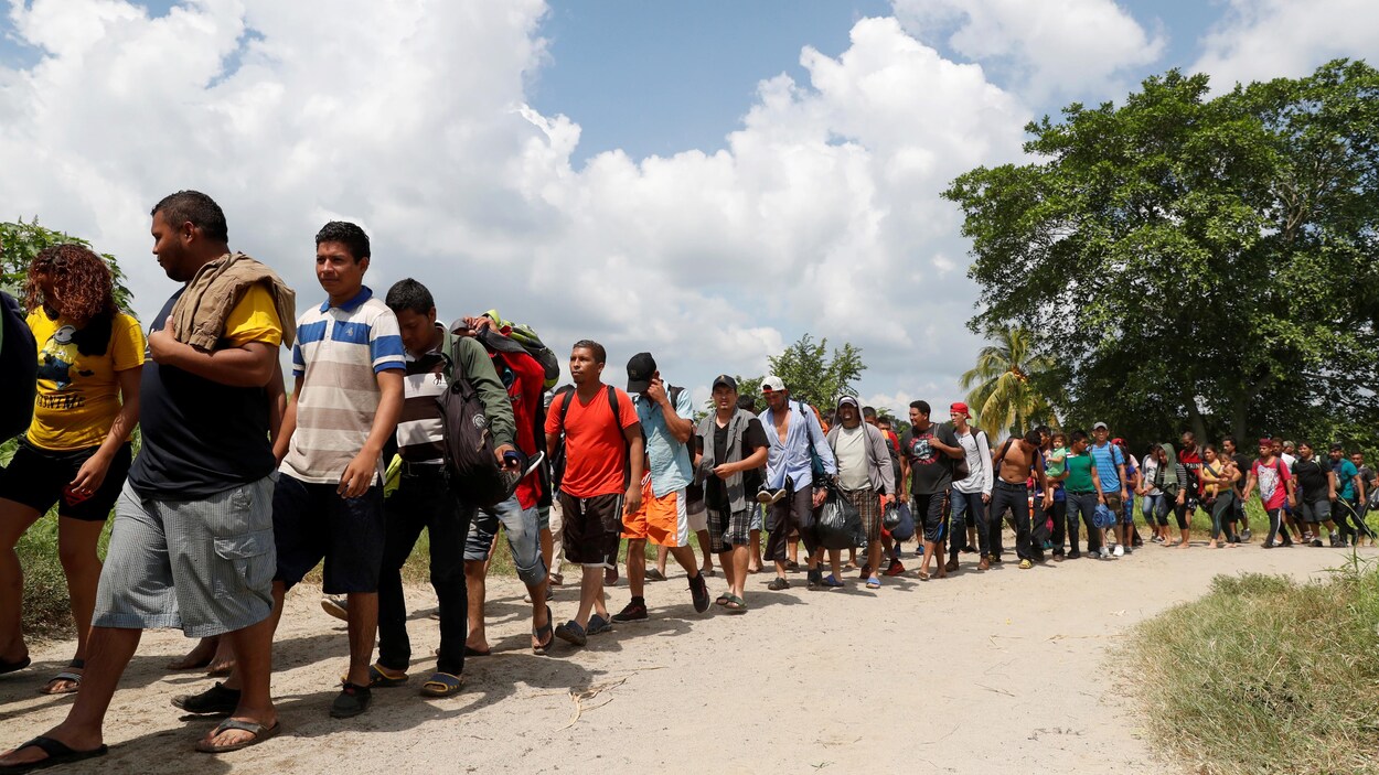 Une longue file de personnes marchent sous le soleil.