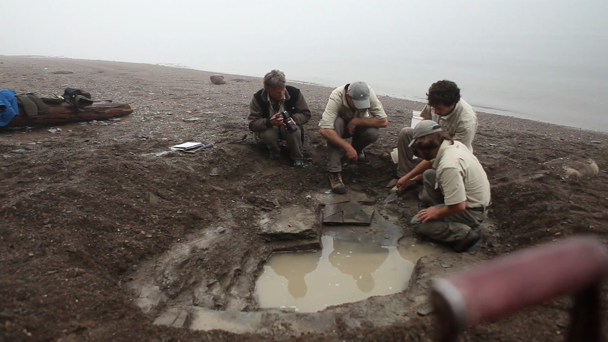 Paléontologie : finie, la recherche d’ici en français