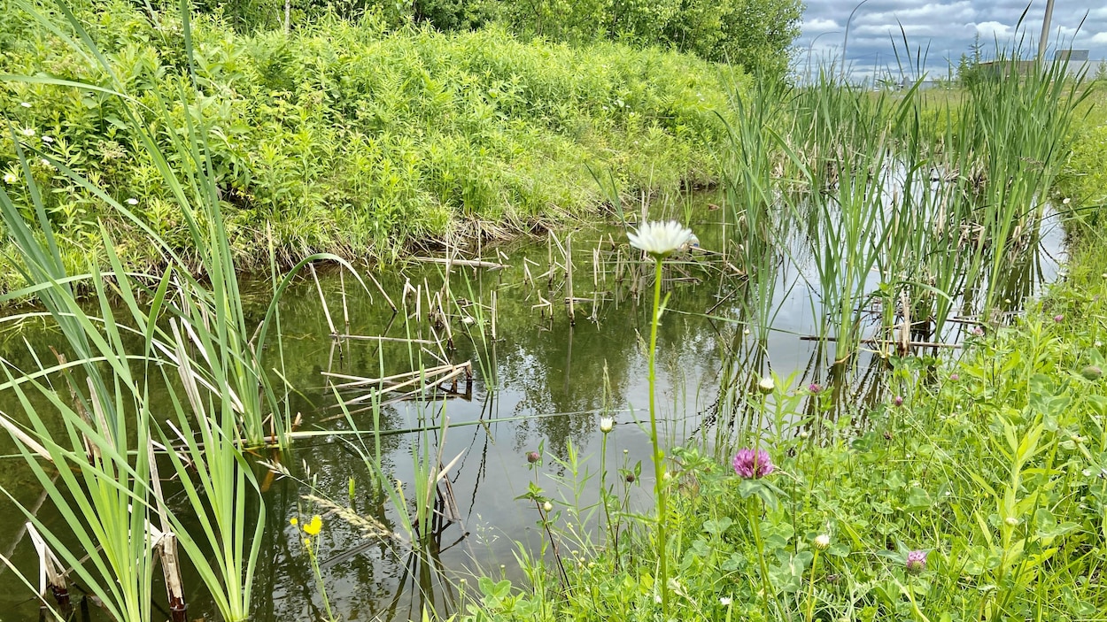 Carrefour 40-55 : le drainage du sol est amorcé
