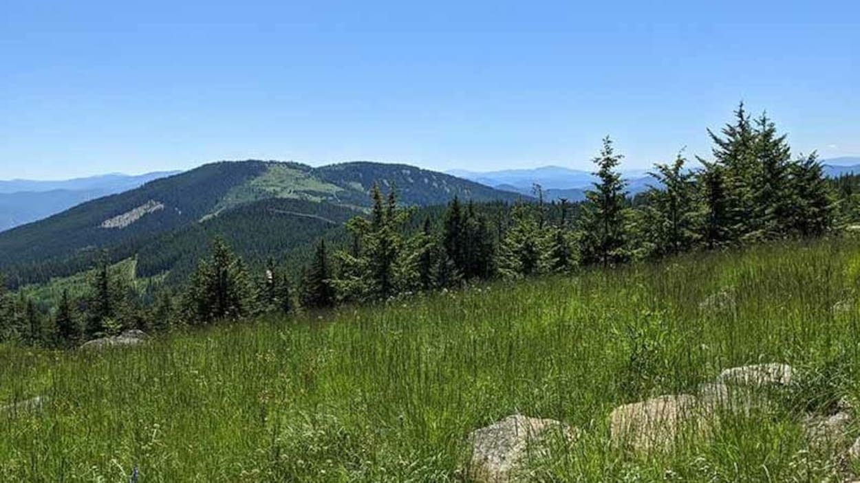Une injonction provisoire suspend le projet de mine de magnésium près de Rossland