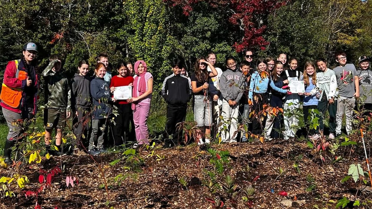 Un projet de mini-forêt d’inspiration japonaise voit le jour à Dieppe