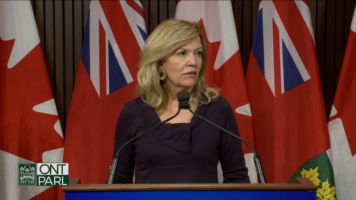 La ministre ontarienne de la Santé Christine Elliott en point de presse devant des drapeaux