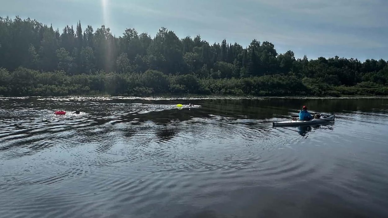 22 nageurs à l’assaut de la rivière Harricana pour la santé mentale