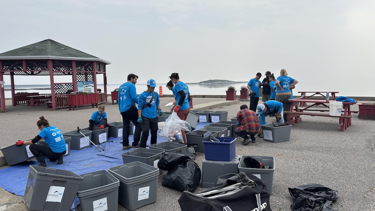 Nettoyage des abords du Saint-Laurent à Ragueneau