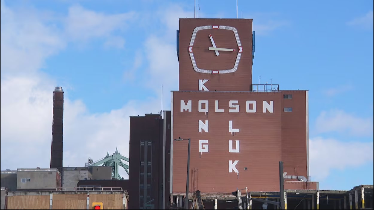 « Molson », « Kong » et « Sluk » : l’usine Molson vandalisée à Montréal