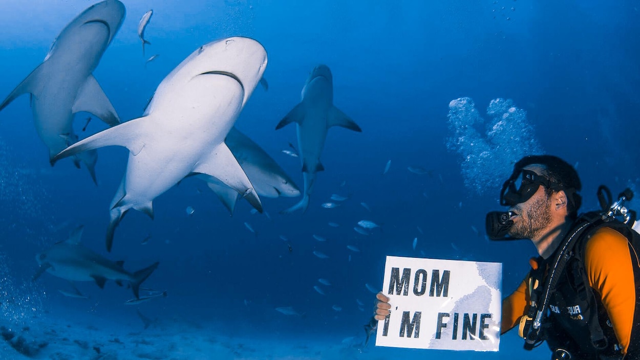 Jonathan Kubben à proximité de requins tient sous l'eau une pancarte sur laquelle est inscrite Mom I'm fine.