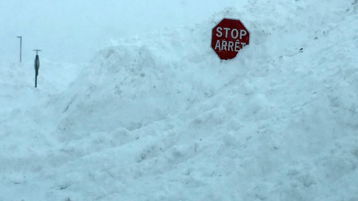 Des panneaux d'arrêt émergeant de la neige Des panneaux d'arrêt émergeant de la neige