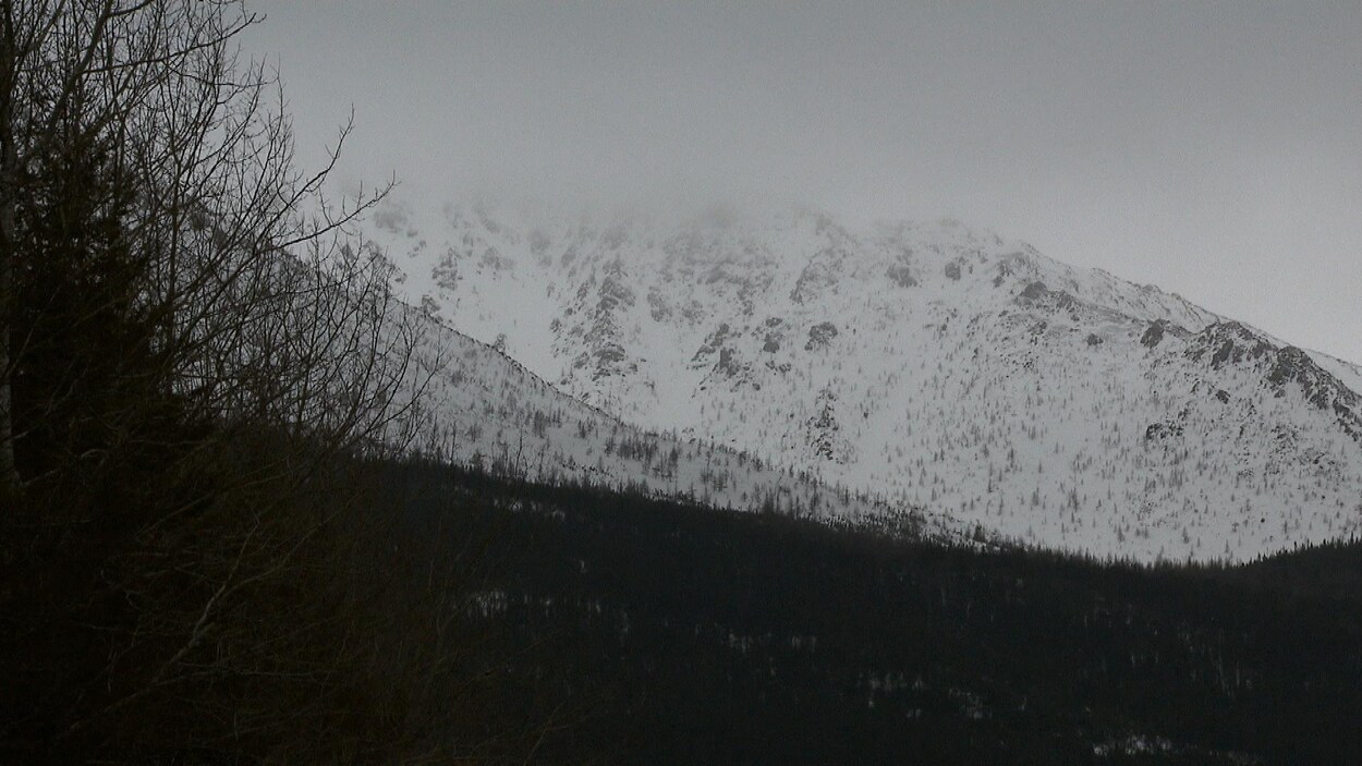 Des avalanches se déclenchent régulièrement sur le Mont-Albert