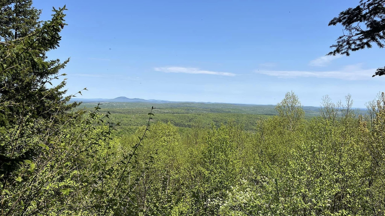 Les Sentiers de l’Estrie demande l’aide des citoyens pour éviter un feu de forêt