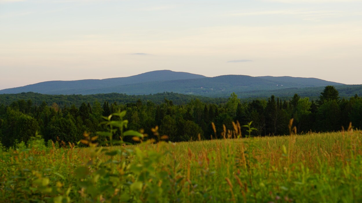 Le mont Foster