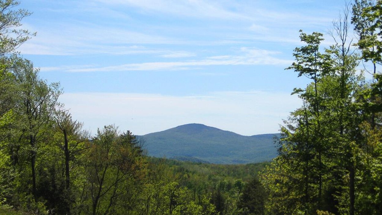 Vue sur le mont Foster.
