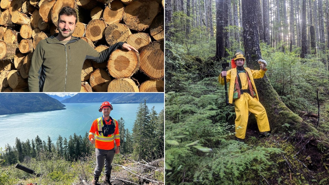 « Si on gère nos forêts correctement, on aura du travail pour des générations »