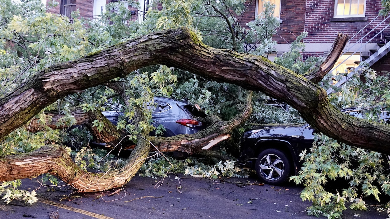 Pluies diluviennes : l’heure est au nettoyage dans le Grand Montréal