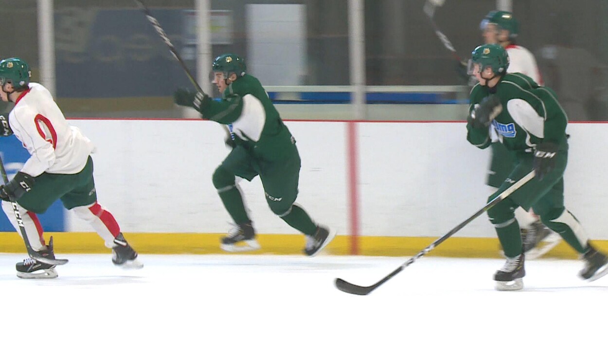 Joueurs de Mooseheads séparés en deux équipes pour un entraînement.