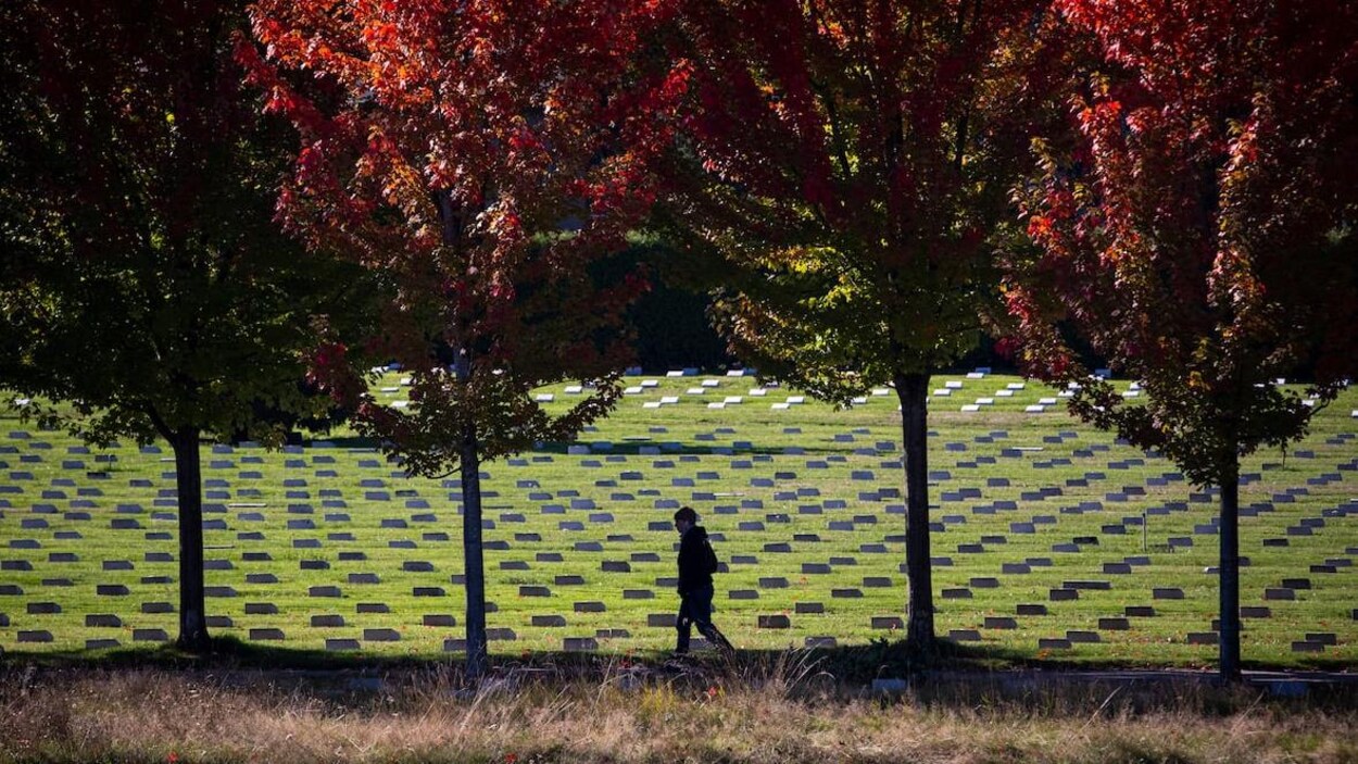 Une femme marche devant le cimetière Mountain View à Vancouver, où l'on voit des arbres aux feuilles rouges.