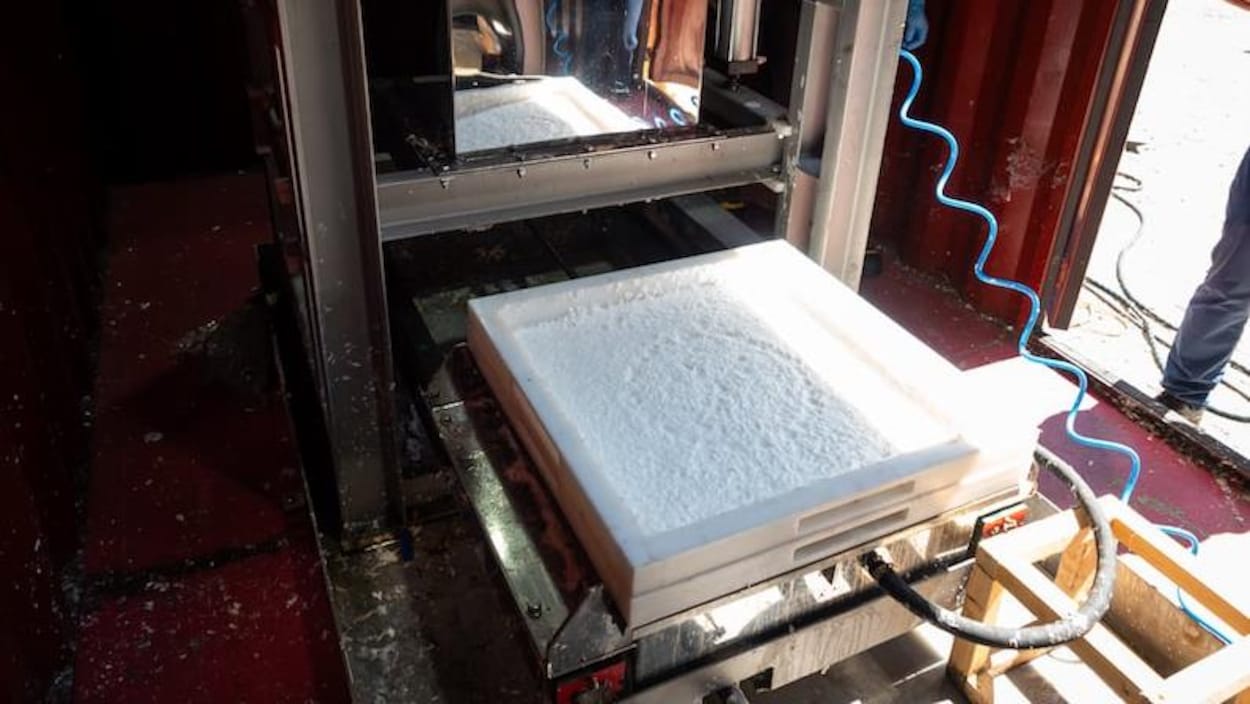 La mousse de bois, une solution de rechange au plastique des emballages?