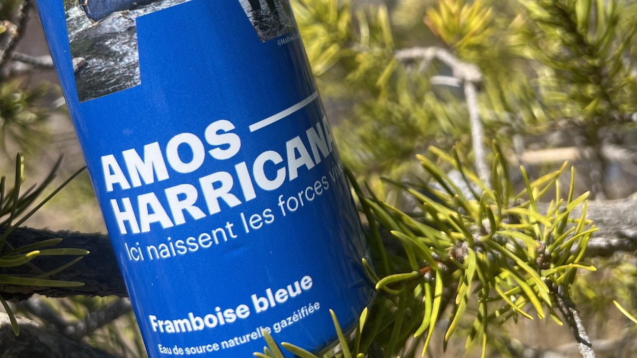 La MRC d’Abitibi lance une canette à la rivière et récolte un prix provincial