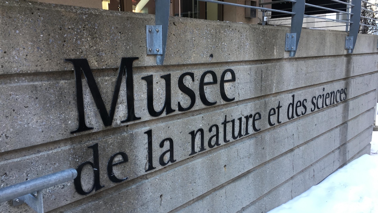 Nouvelle exposition prévue et dur bilan financier au Musée de la Nature et des Sciences