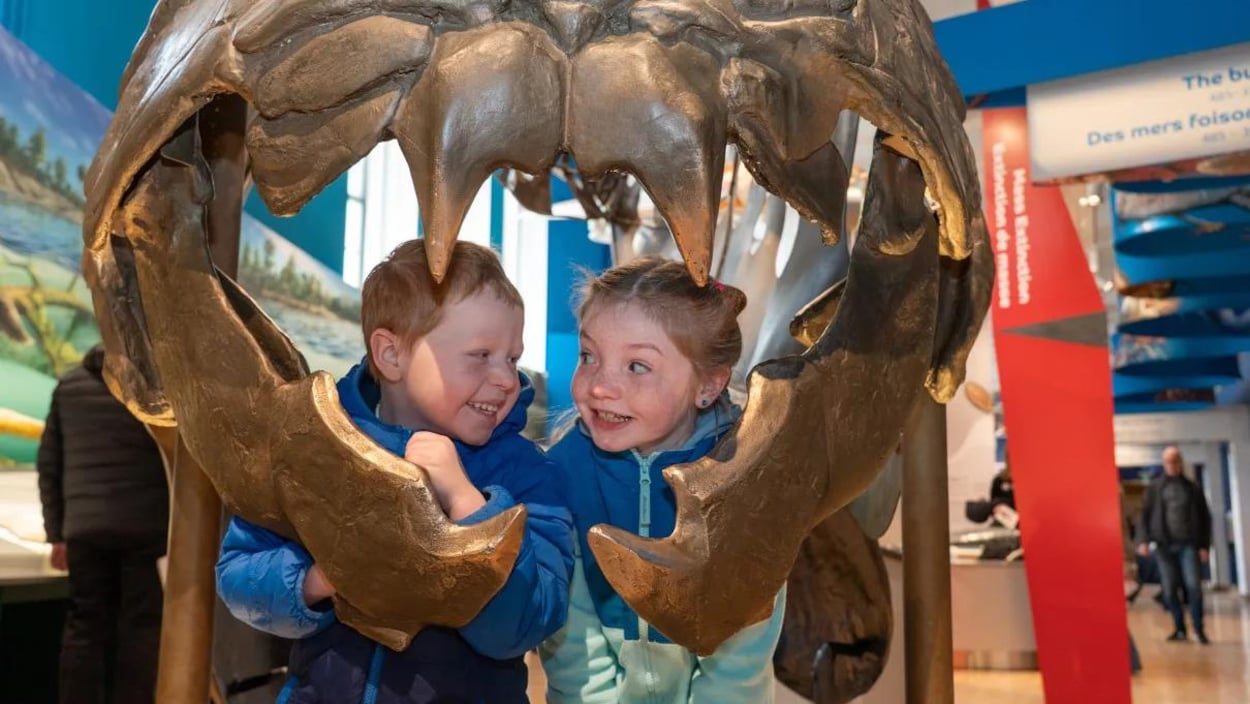 Musées à Toronto : où sont passés les enfants?