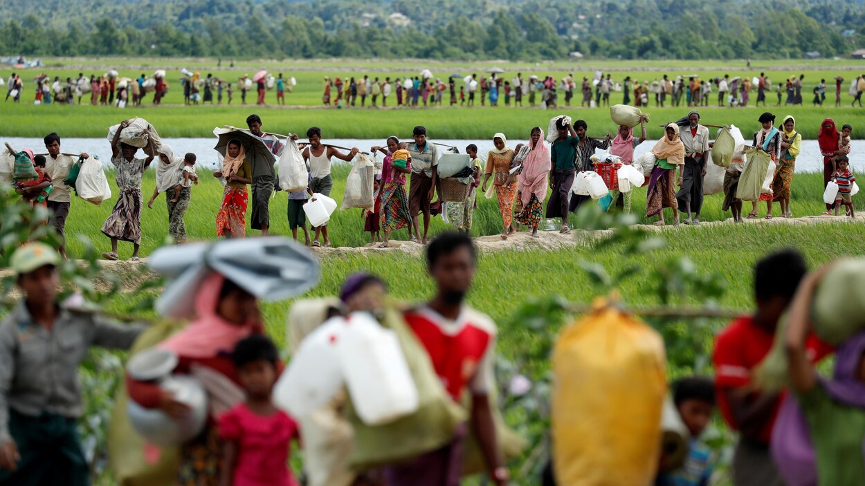 Des réfugiés rohingyas forment une longue file vers un camp de fortune établi au Bangladesh. Des réfugiés rohingyas forment une longue file vers un camp de fortune établi au Bangladesh.