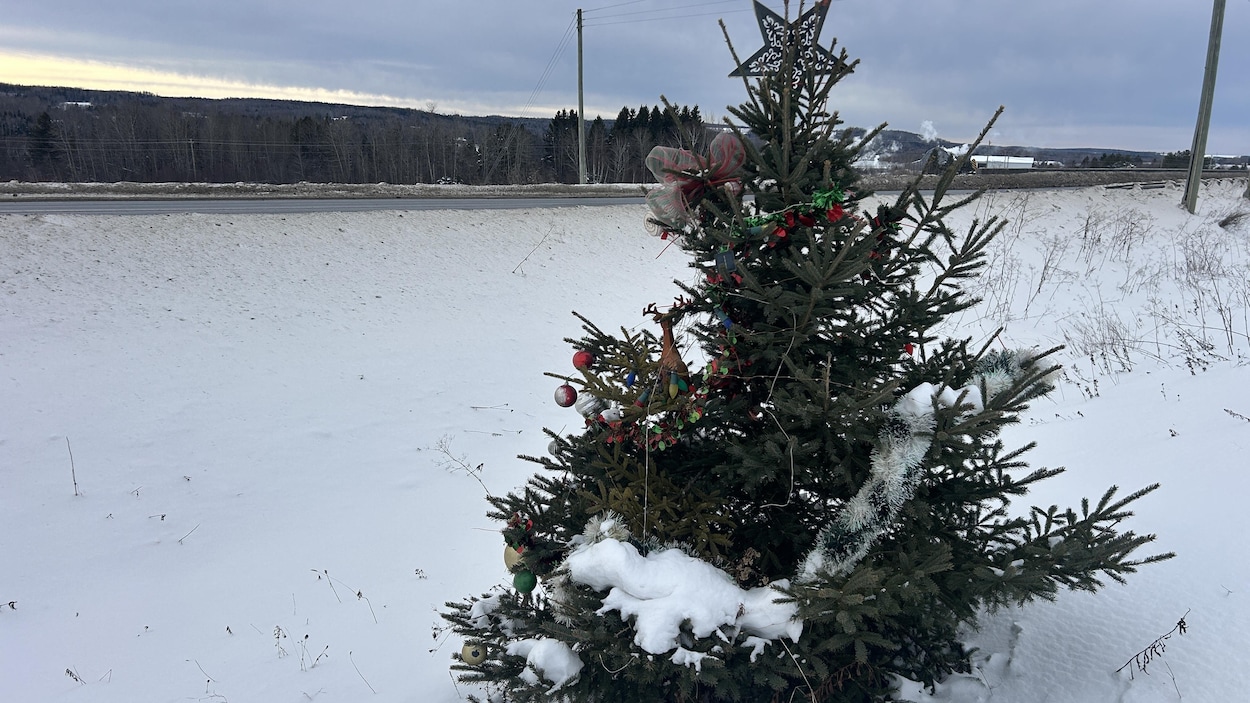 Qui décore le mystérieux sapin de Noël à Grand-Sault?