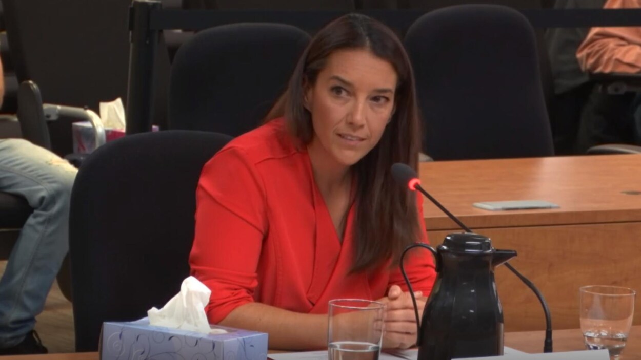 Nancy Audet témoigne au micro lors d'une commission d'enquête.