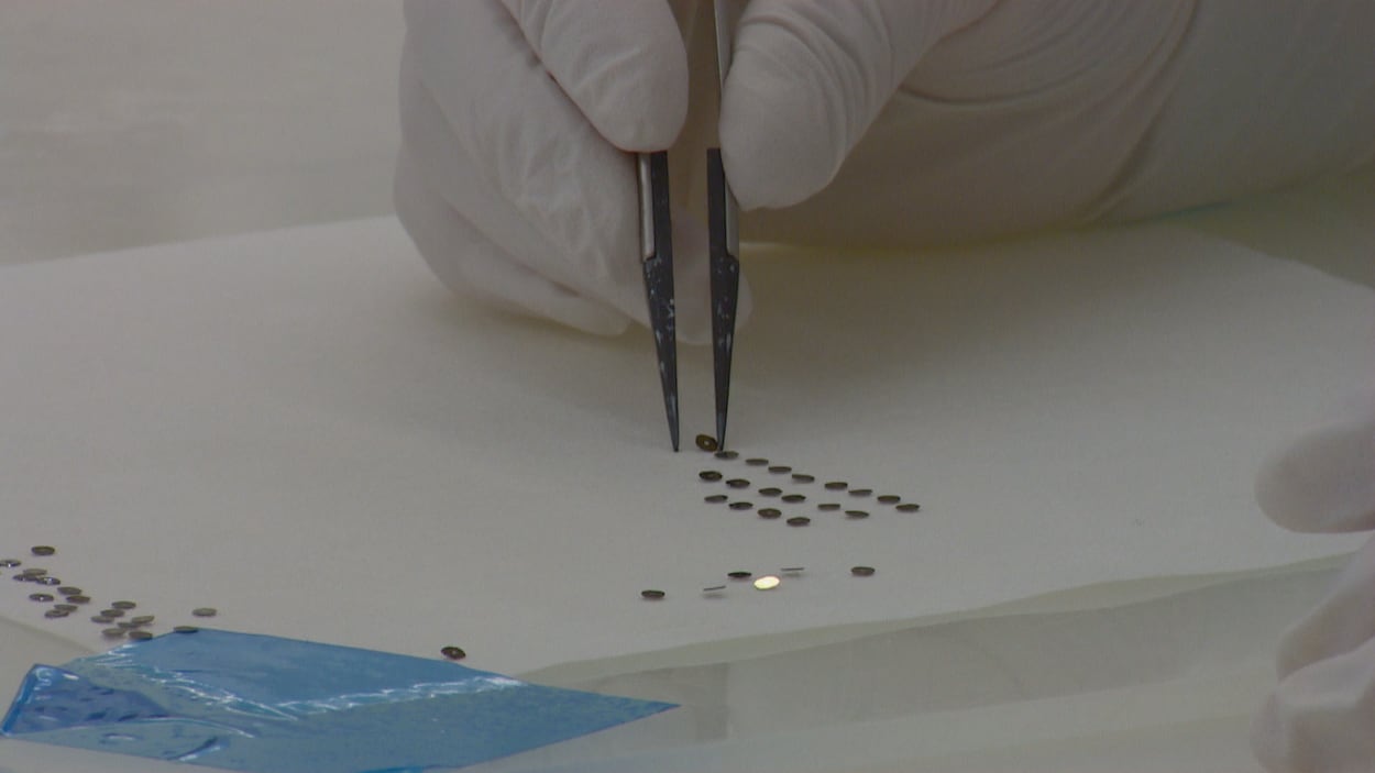 Une main gantée manipule de tout petits morceaux de métal avec des pinces.