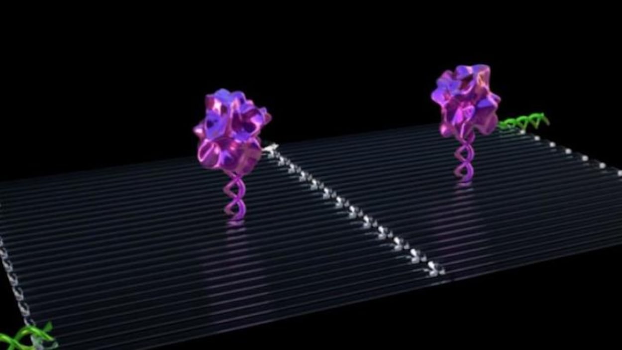 Des nanorobots. Des nanorobots.