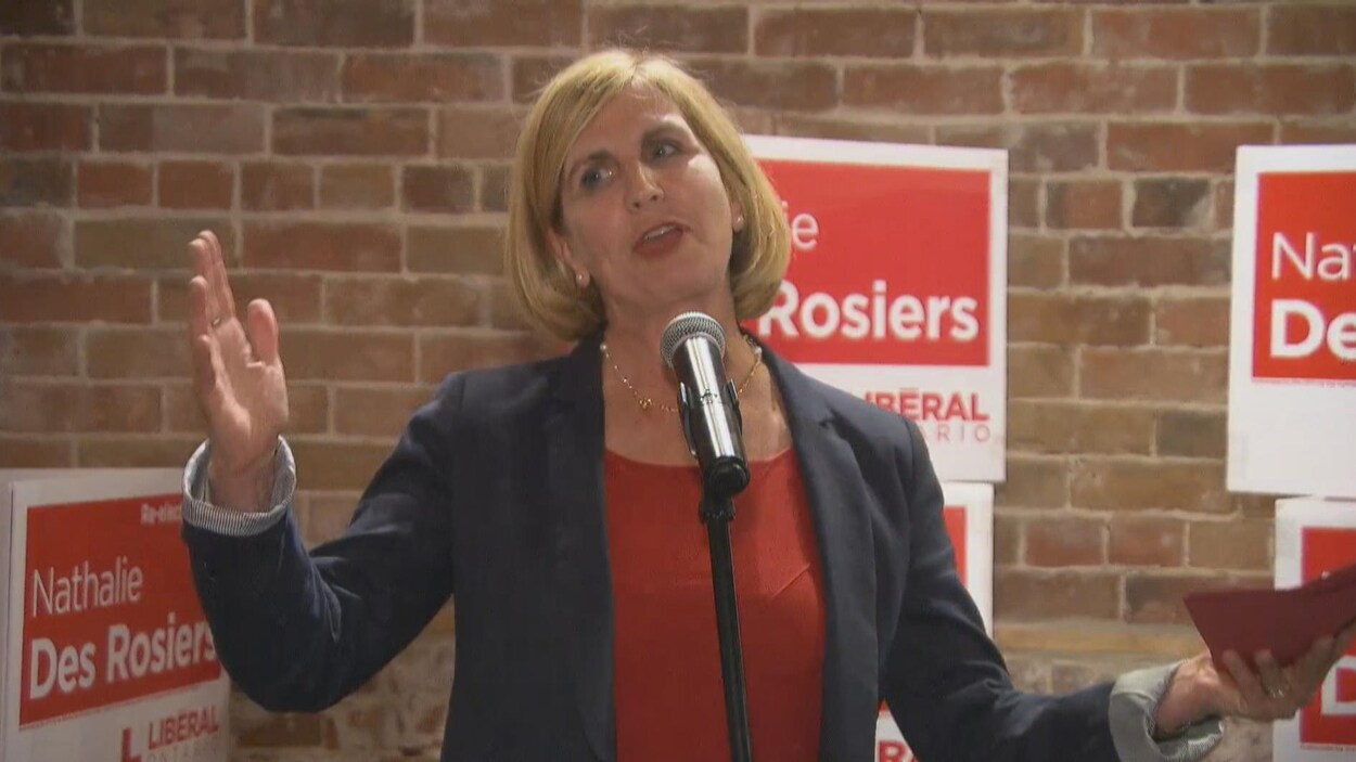 Nathalie Des Rosiers devant un micro et des affiches portant son nom.