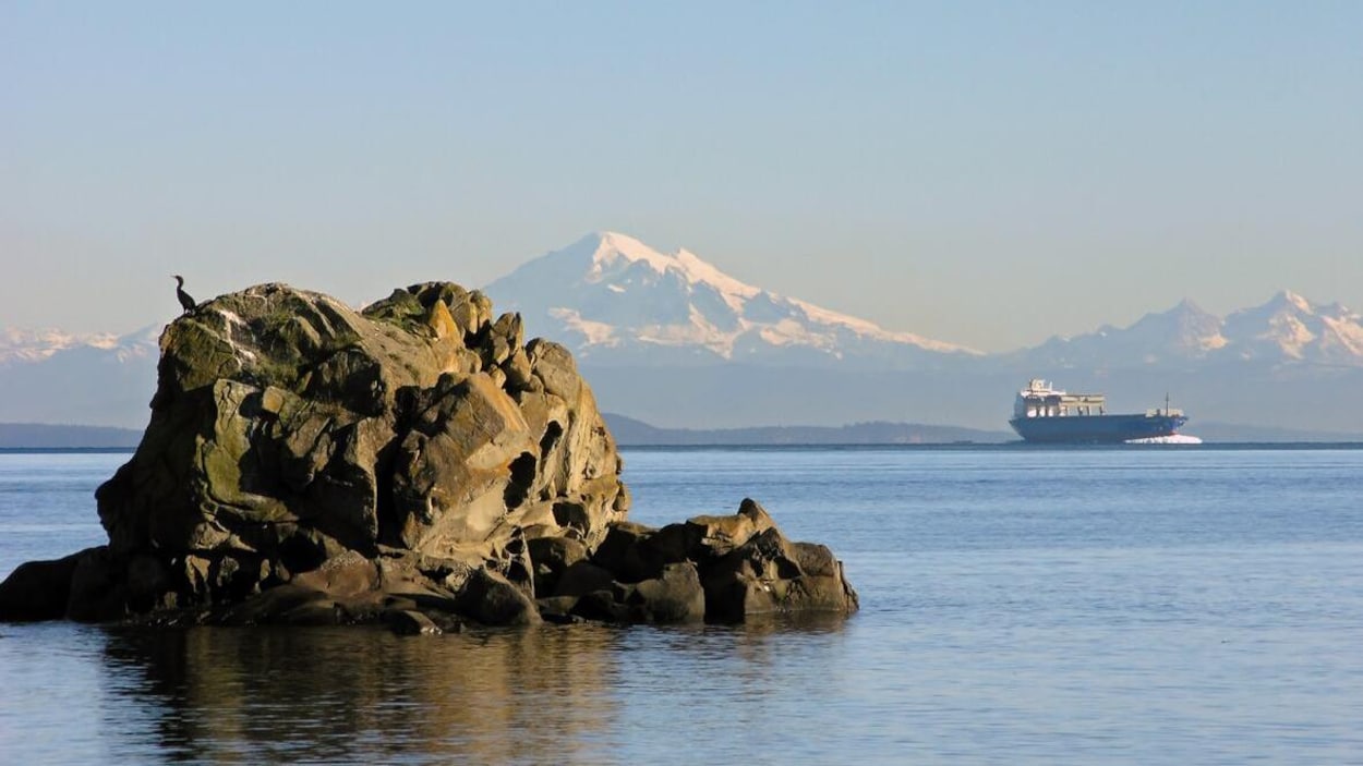 Un cargo ancré au large avec en arrière-plan les montagnes et en avant-plan un rocher où sont posés des oiseaux marins.