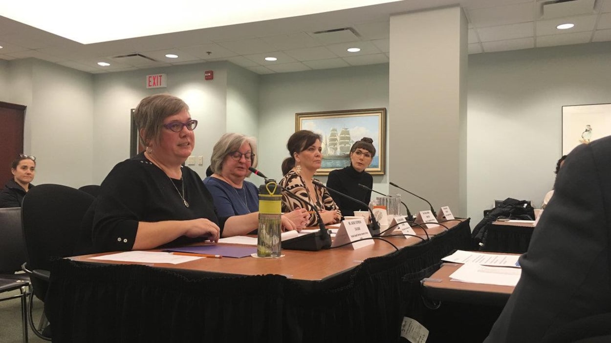 Des représentantes d'organismes d'aide aux victimes d'agression sexuelle demandent plus de fonds au gouvernement de la Nouvelle-Écosse. Des représentantes d'organismes d'aide aux victimes d'agression sexuelle demandent plus de fonds au gouvernement de la Nouvelle-Écosse.