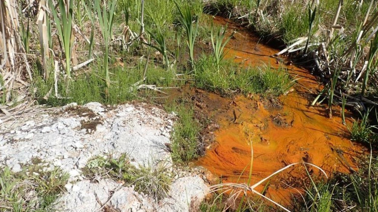De l'eau contaminée à l'arsenic s'écoule d'un trou de forage près de Tatamagouche RadioCanada.ca