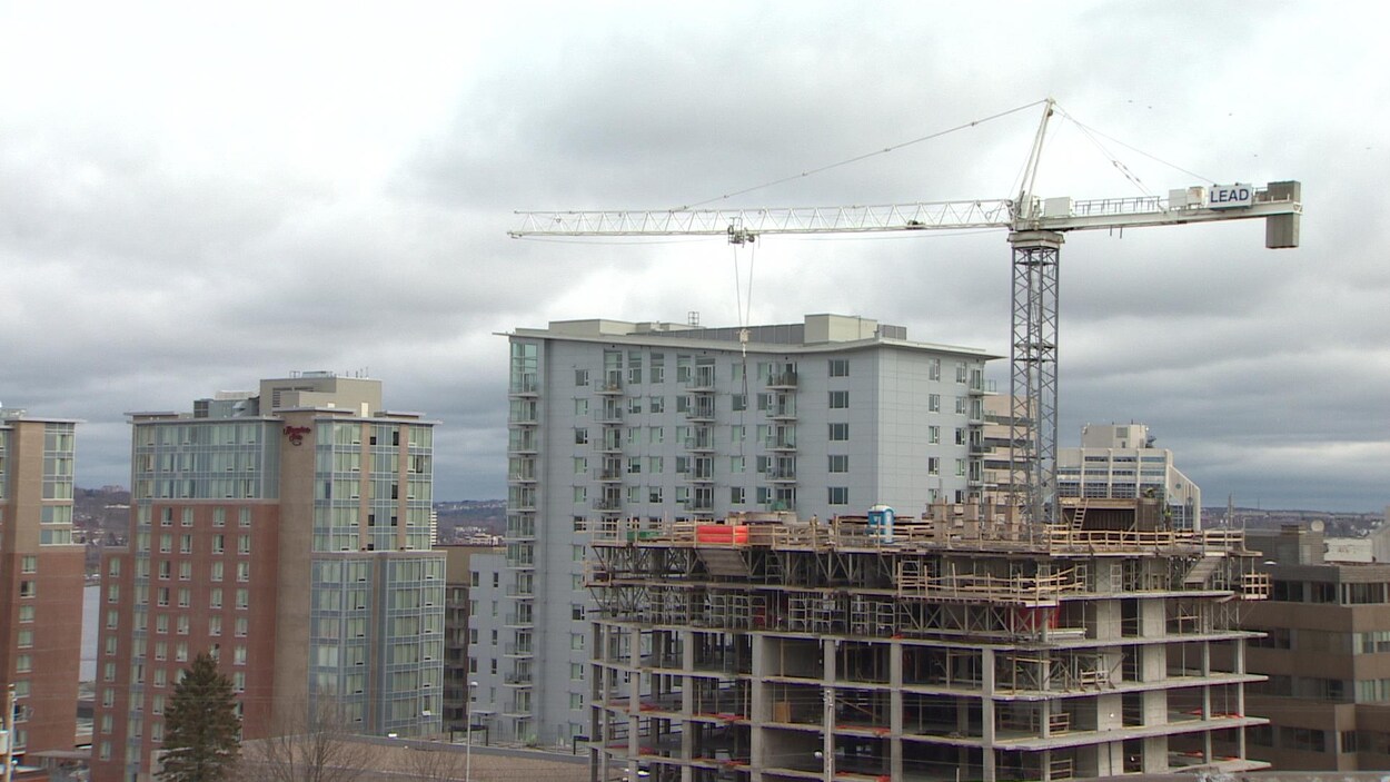 Les grues sont extrêmement communes à Halifax. Les grues sont extrêmement communes à Halifax.
