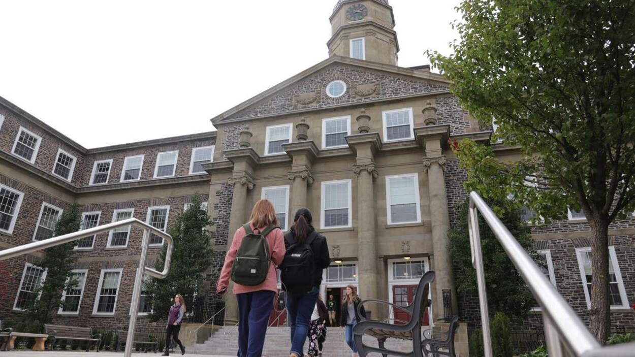 En avant-plan, des étudiantes se dirigent vers un des édifices de l'Université Dalhousie.