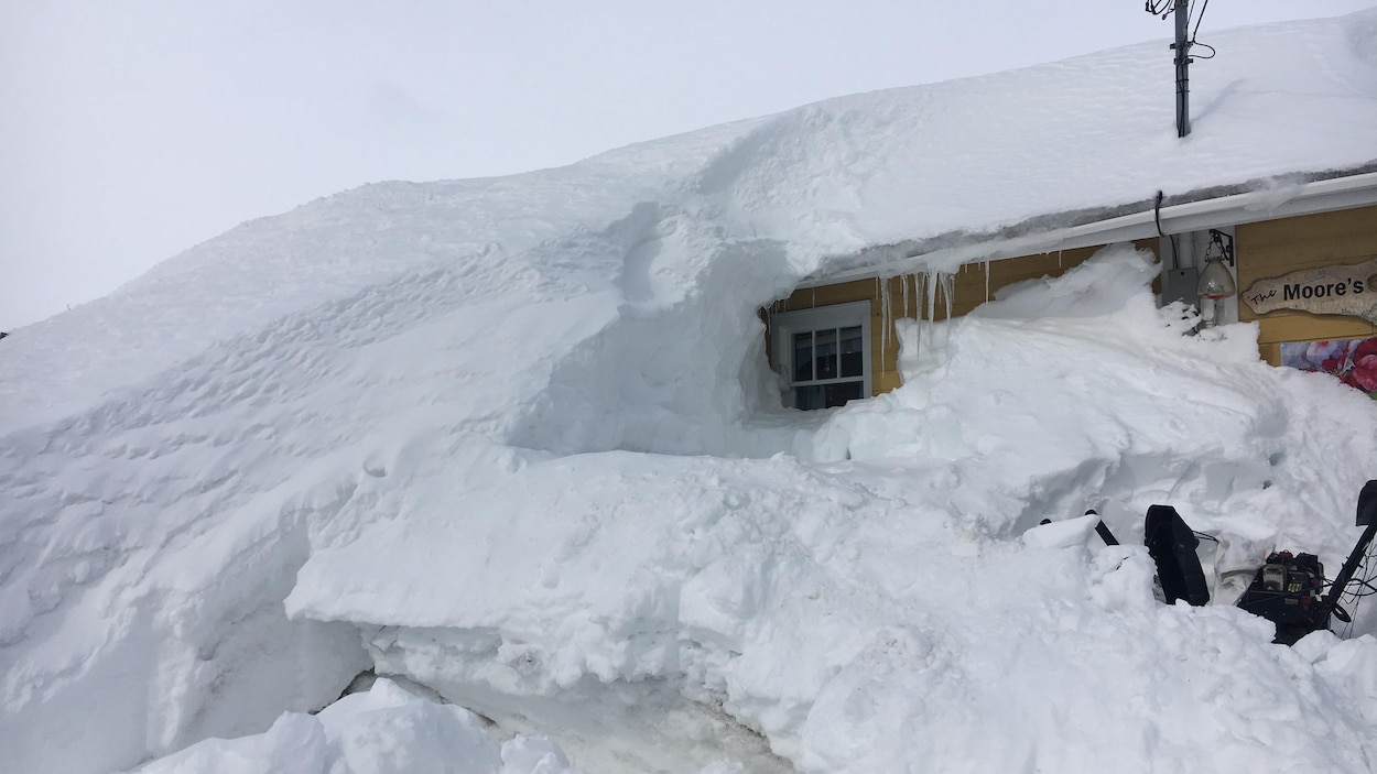 La neige poussée par des vents forts a presque complètement enseveli la maison de Sharon et de Mike Moore, dans le secteur de la plage Youghall à Bathurst, la semaine dernière. La neige poussée par des vents forts a presque complètement enseveli la maison de Sharon et de Mike Moore, dans le secteur de la plage Youghall à Bathurst, la semaine dernière.