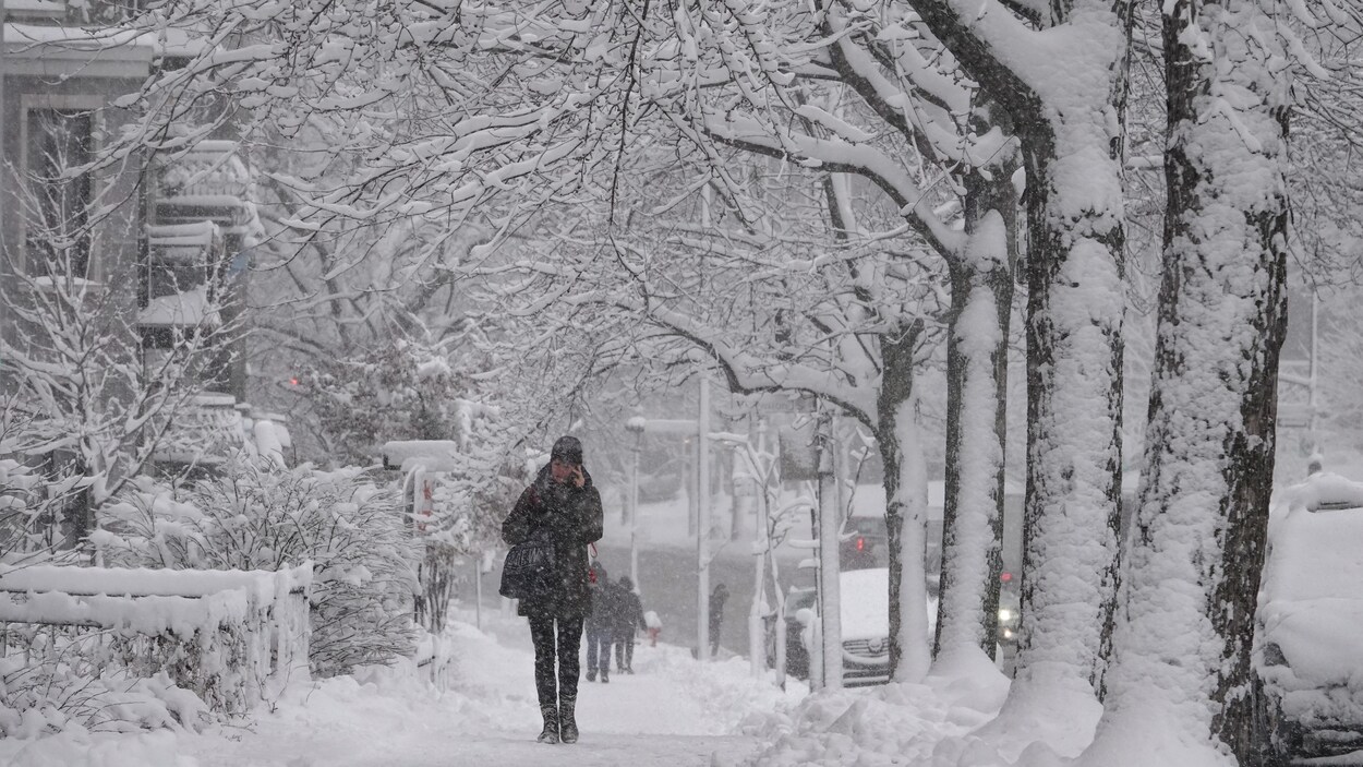 Une femme marche sur le trottoir, entourée d'arbres enneigés. Une femme marche sur le trottoir, entourée d'arbres enneigés.