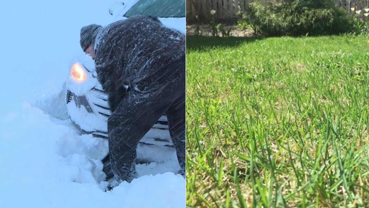 Photo d'un homme qui soulève une pelletée de neige à côté d'une photo d'un jardin fleuri. Photo d'un homme qui soulève une pelletée de neige à côté d'une photo d'un jardin fleuri.