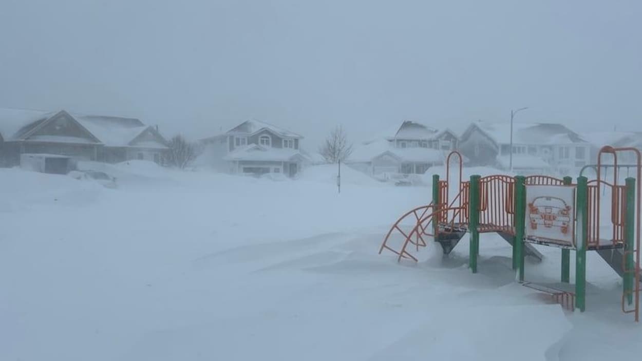 Des milliers de foyers sans électricité à Terre-Neuve en raison de la tempête